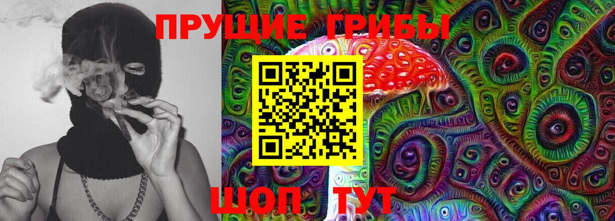 Камышин  Псилоцибиновые грибы мицелий  Вход с VPN  Галлюциногенные грибы Magic Shrooms 