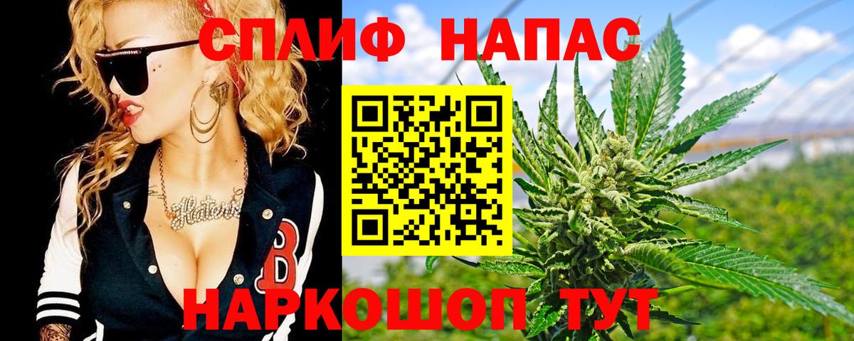 МАРИХУАНА конопля Камышин